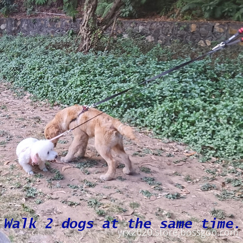 Dual Hooks Pet Leash